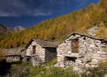 20061027_115211 Rustici.jpg